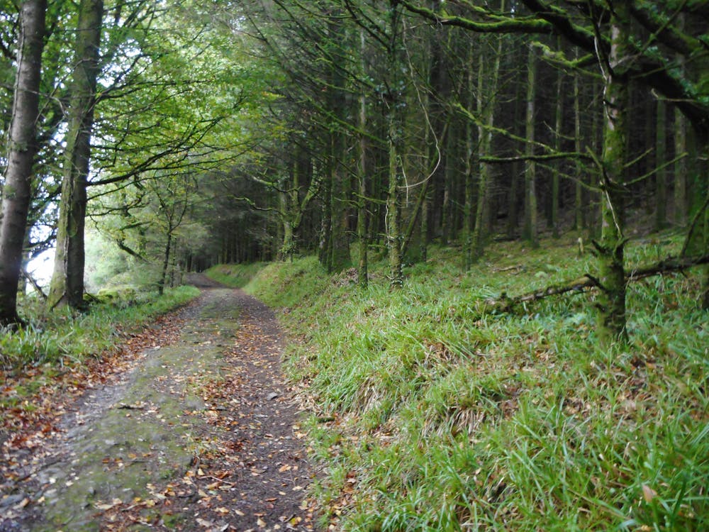 La strada che sale verso il monte Claragh