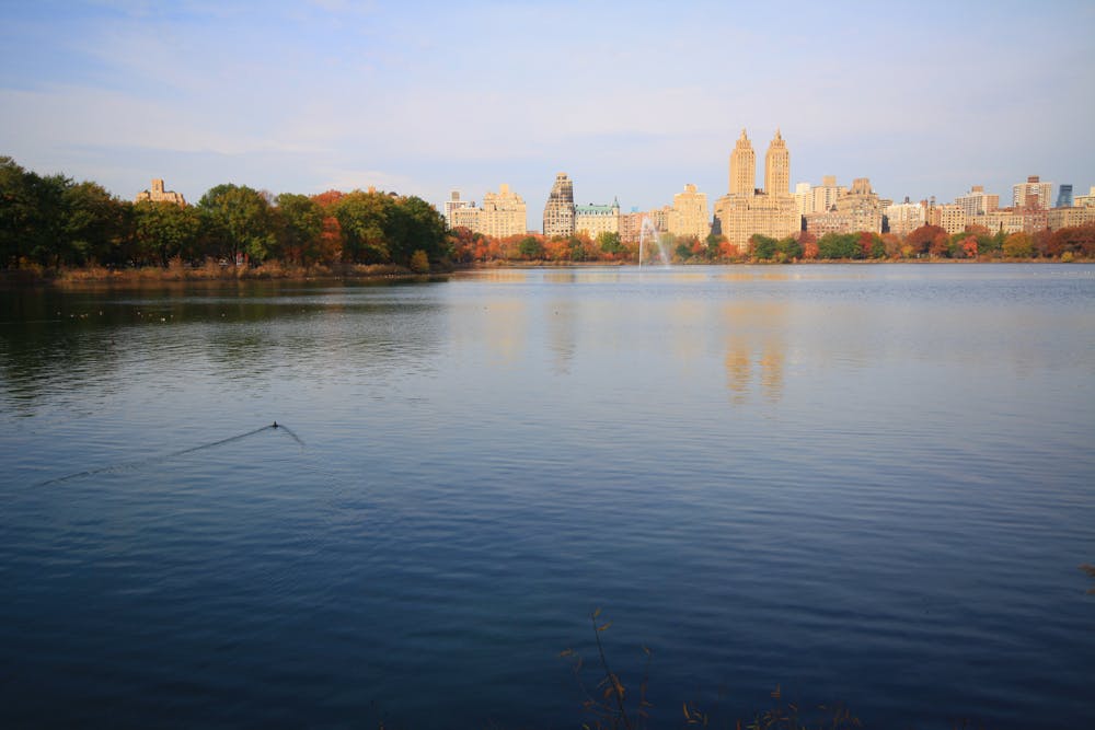 Photo from Central Park Reservoir Loop