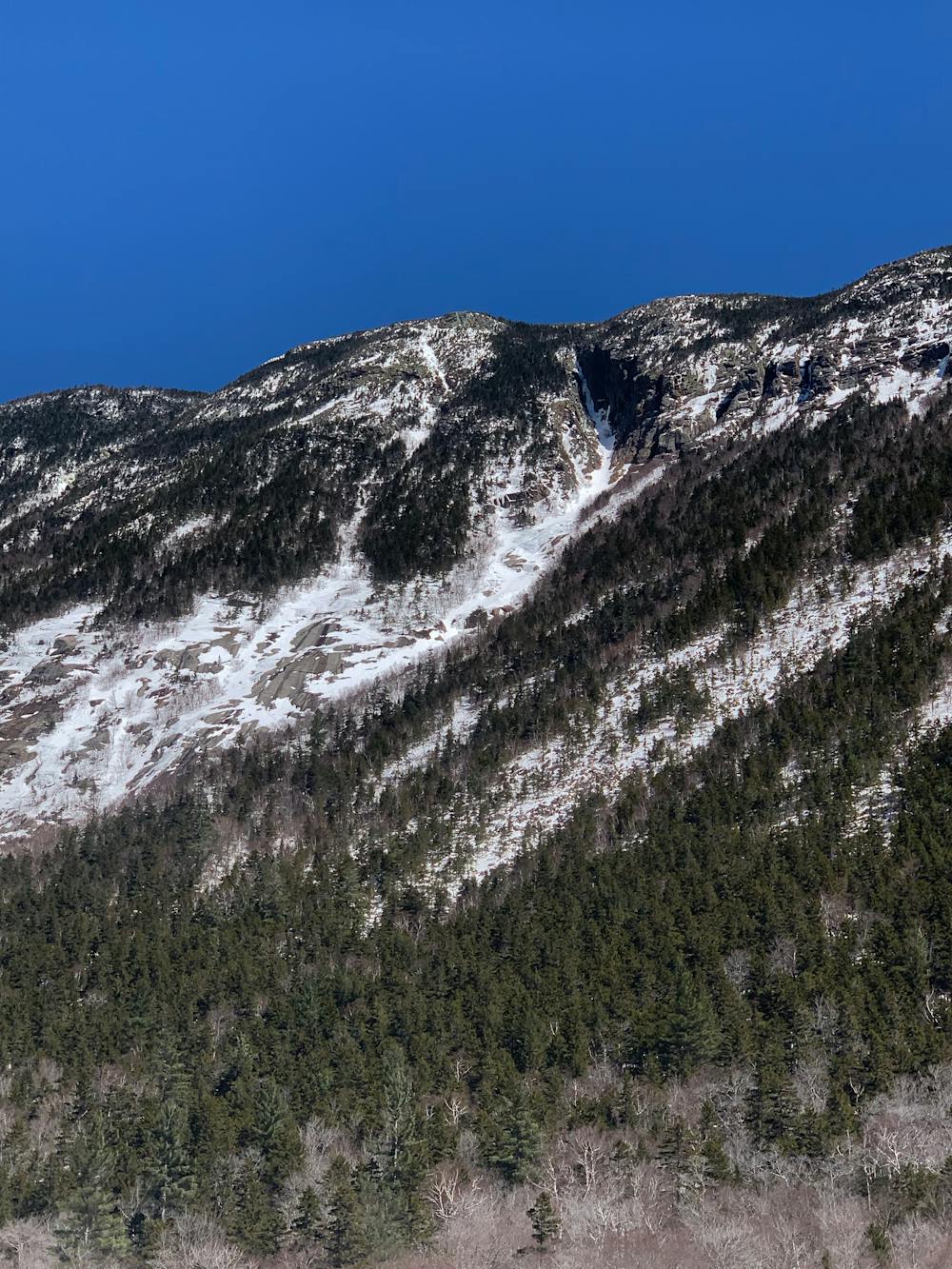 Central from Crawford Notch