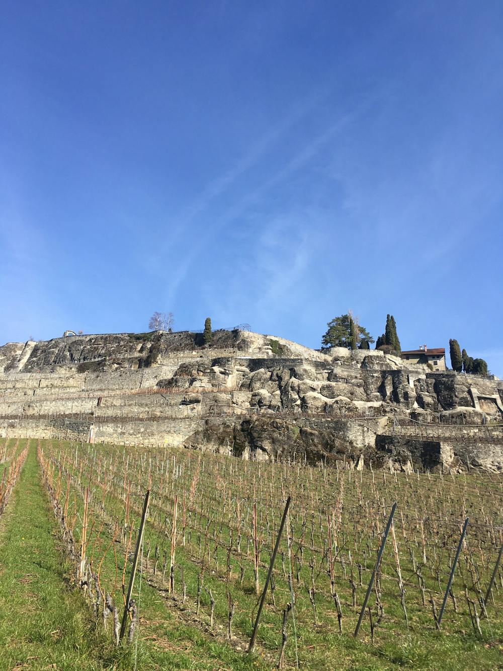 Photo from Via Francigena: Vineyards of Lavaux