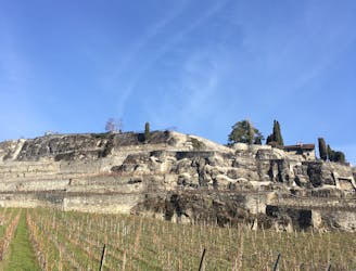 Via Francigena: Vineyards of Lavaux