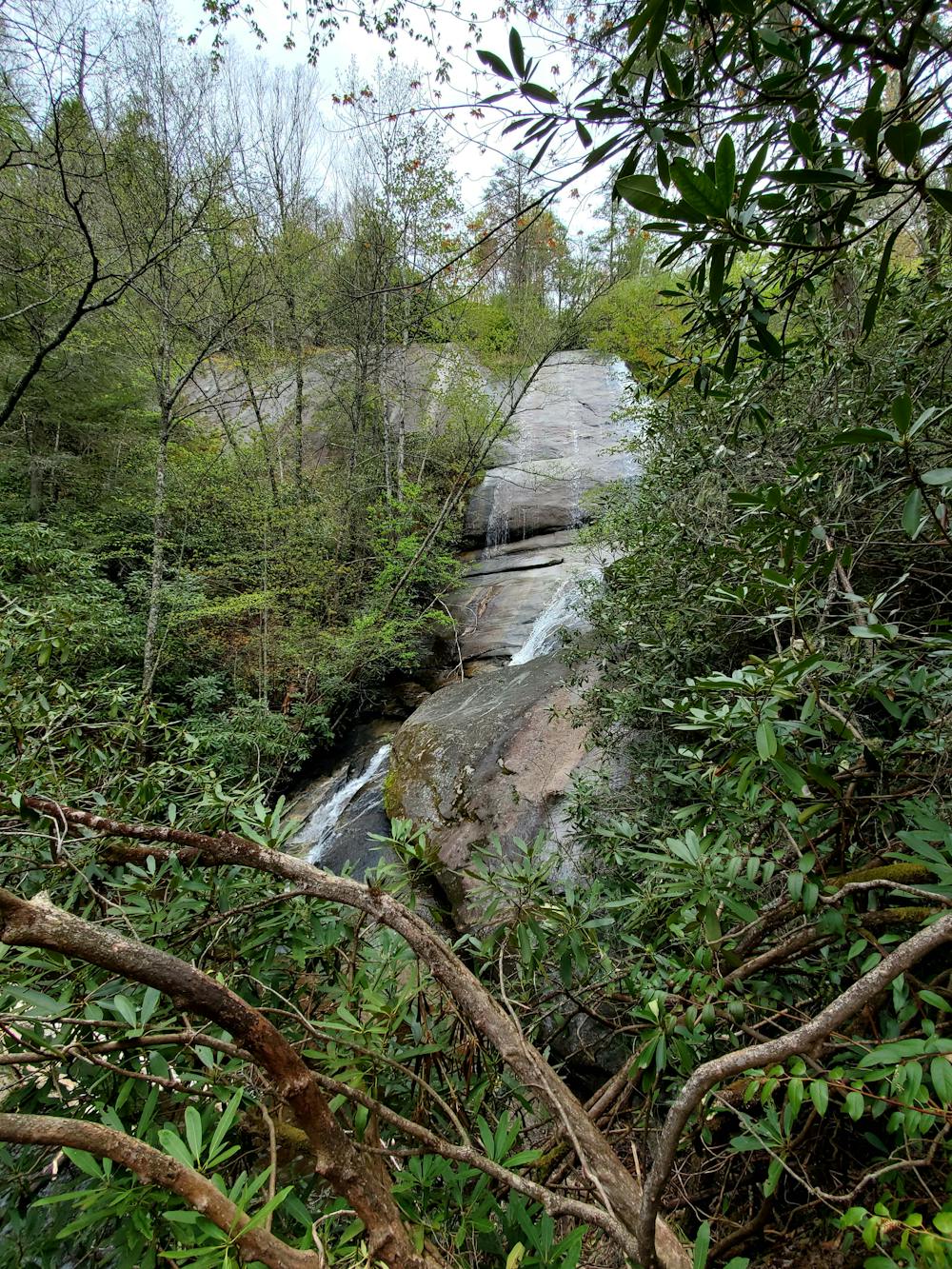 Wilderness Falls