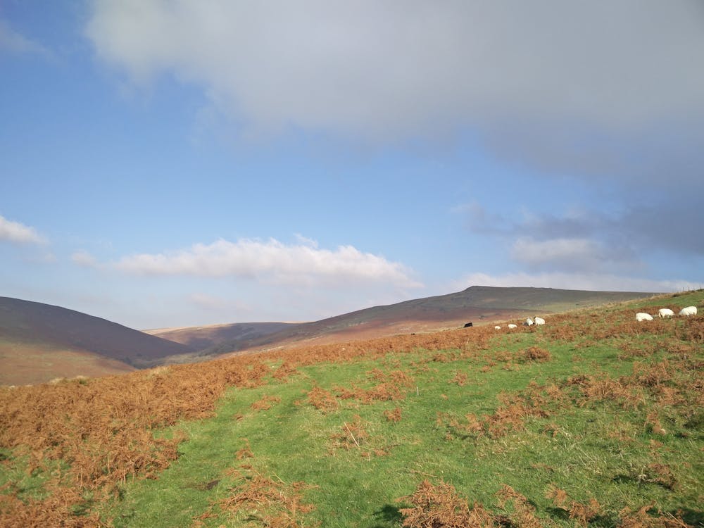 Photo from Two Moors Way