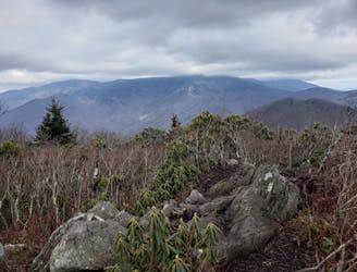 Graybeard Mountain Trail