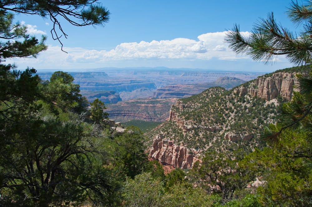 One of many views from Rainbow Rim