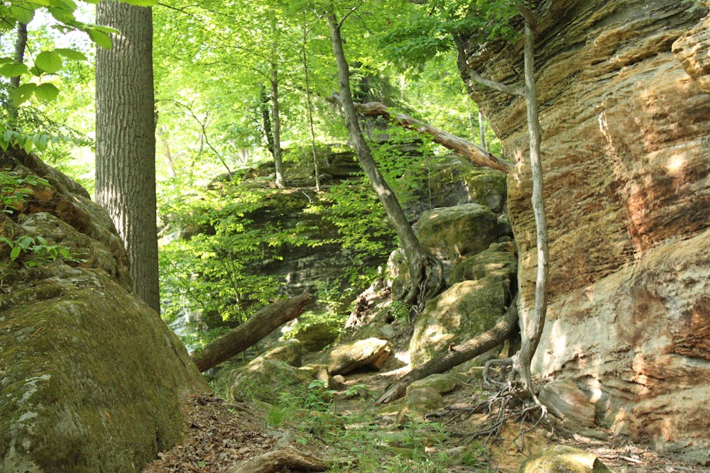 Cuyahoga Valley: Ledges Trails