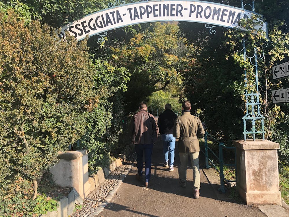 Photo from Tappeiner Promenade