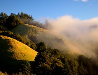 6 Top Trail Runs in the Bay Area