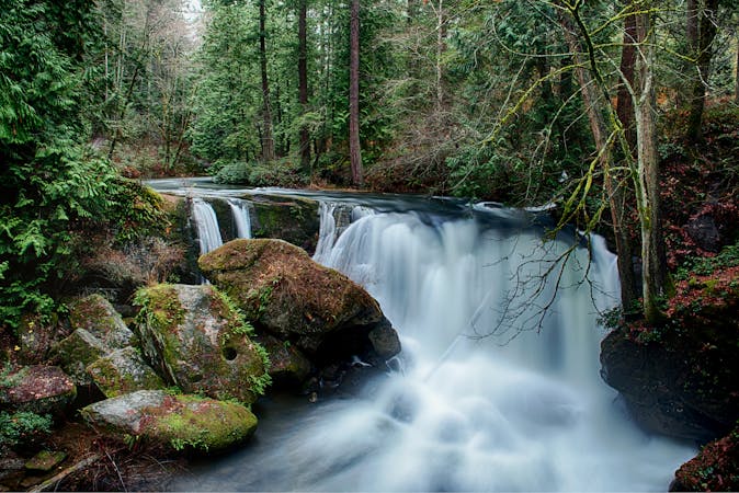 Waterfall Hikes in the Rainforest in Bellingham, WA