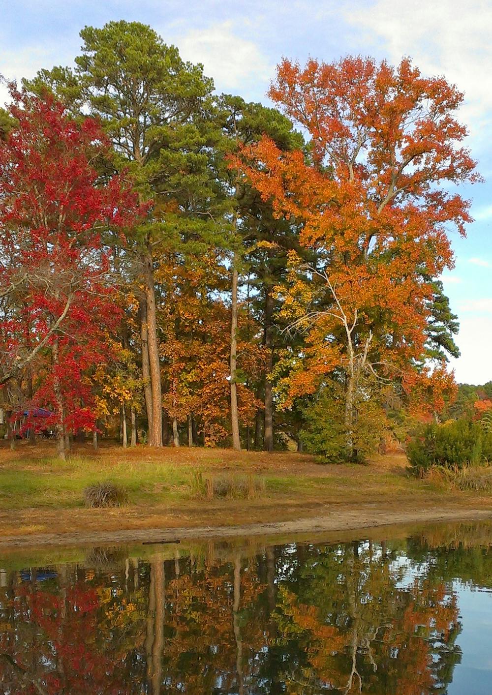 Tyler State Park Fall Foliage