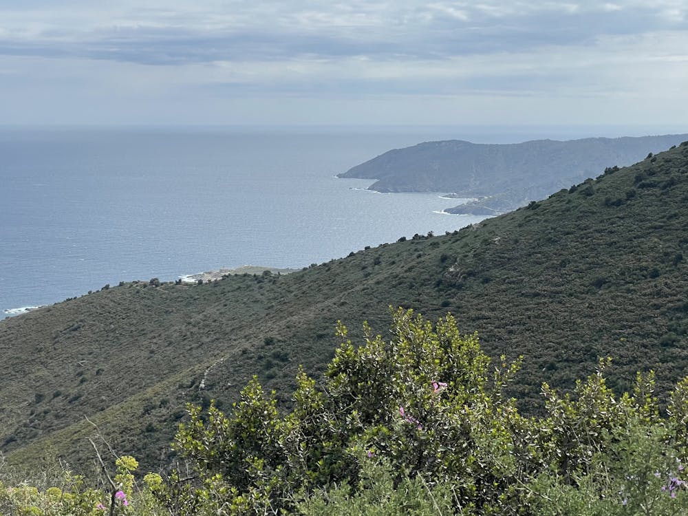 Photo from Cap de Creus - carena vessant Llançà