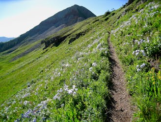 Colorado Trail Segment 26: Blackhawk Pass