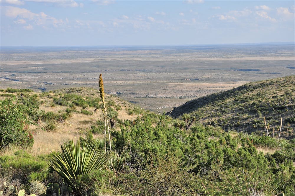 View from Carlsbad Caverns Visitor Center