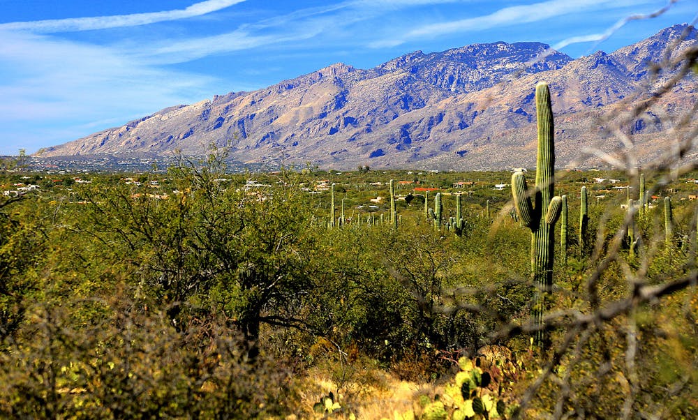 View of the Santa Catalina Mountains from Douglas Spring Trail