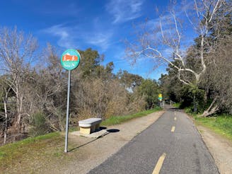 Los Gatos Creek Trail: Point-to-Point