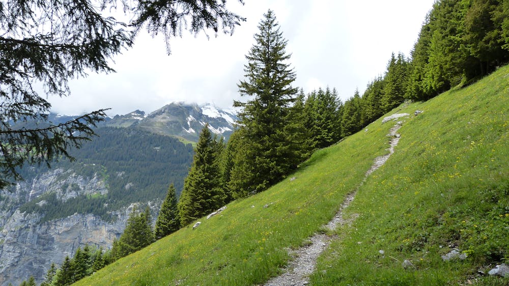 Photo from Stunning Kleine Scheidegg to Lauterbrunnen (Descent)
