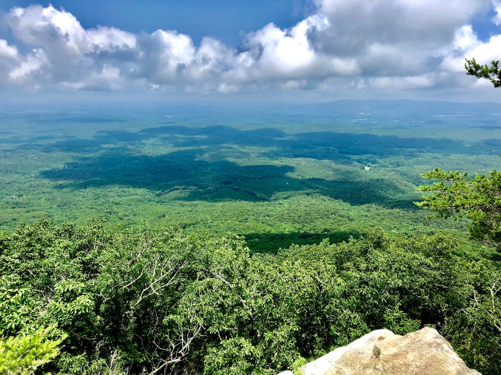 From Cheaha Mountain