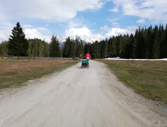 Seefeld to Weidach Forest Loop
