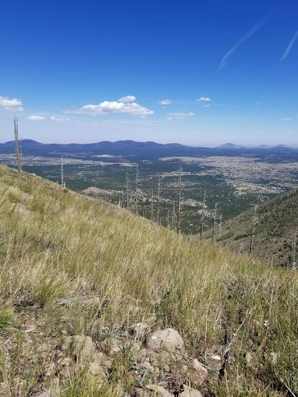 Views near Elden Mountain