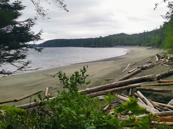 Vancouver Island's Stunning North Coast Trail