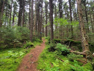 Hike the Mon: 5 Easy Hikes near Snowshoe, WV