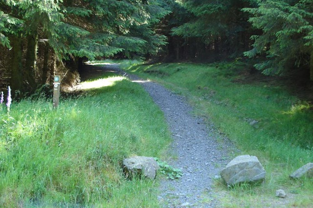 Entering Cloich Forest