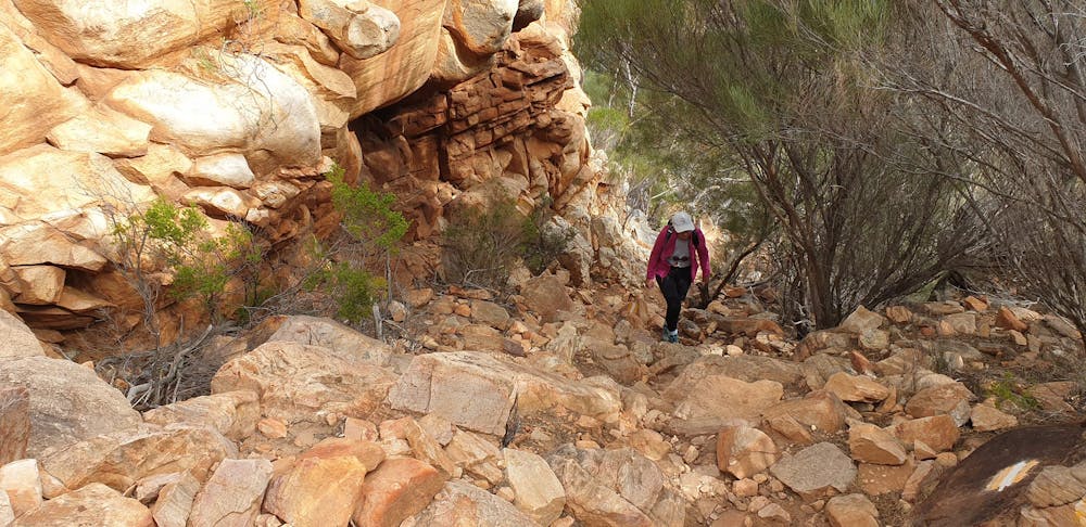 Photo from Flinders Ranges Rawnsley Bluff Trail