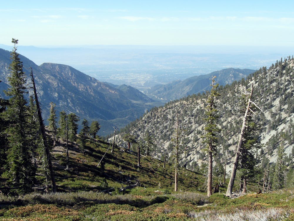 View from Mount Baldy