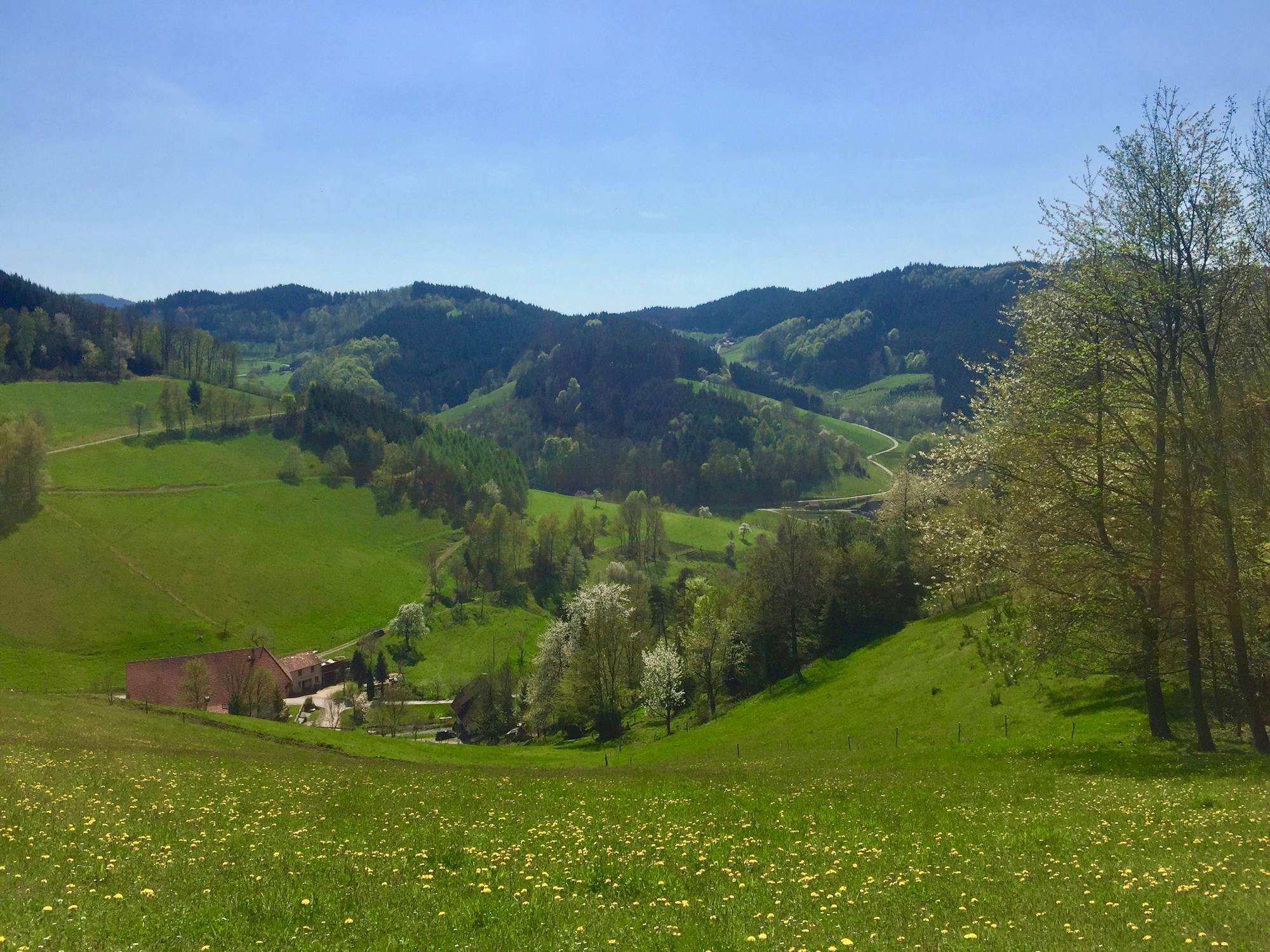 Photo from Baden-Württemberg