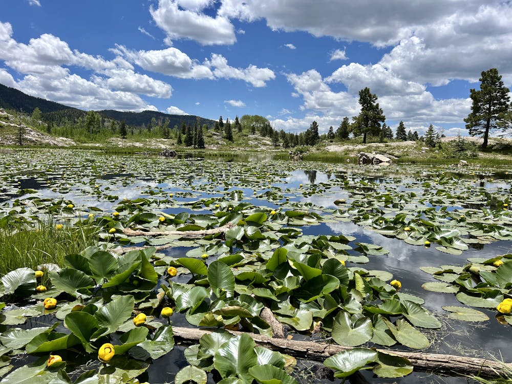 Photo from Spud Lake