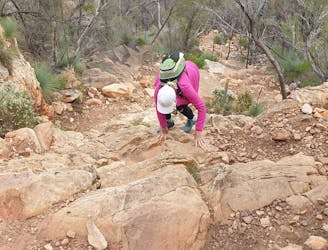 Flinders Ranges Rawnsley Bluff Trail