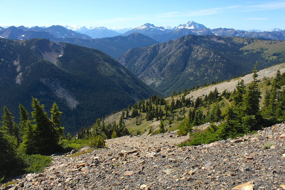 On the Pacific Crest Trail nearing Canada