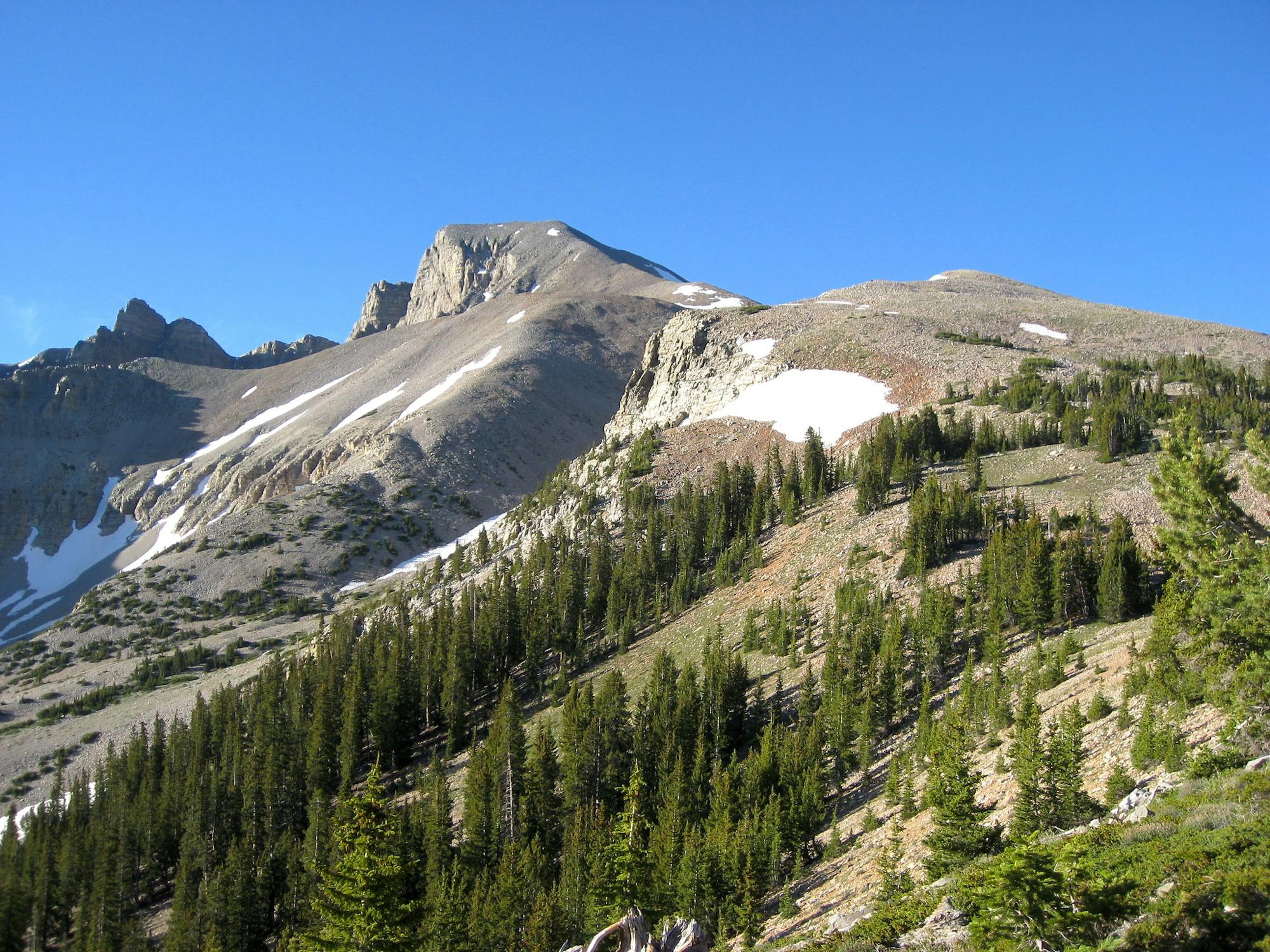 View of Wheeler Peak near the start of the trail.