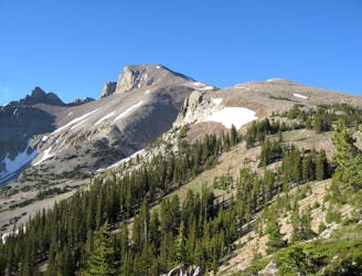 Wheeler Peak Trail