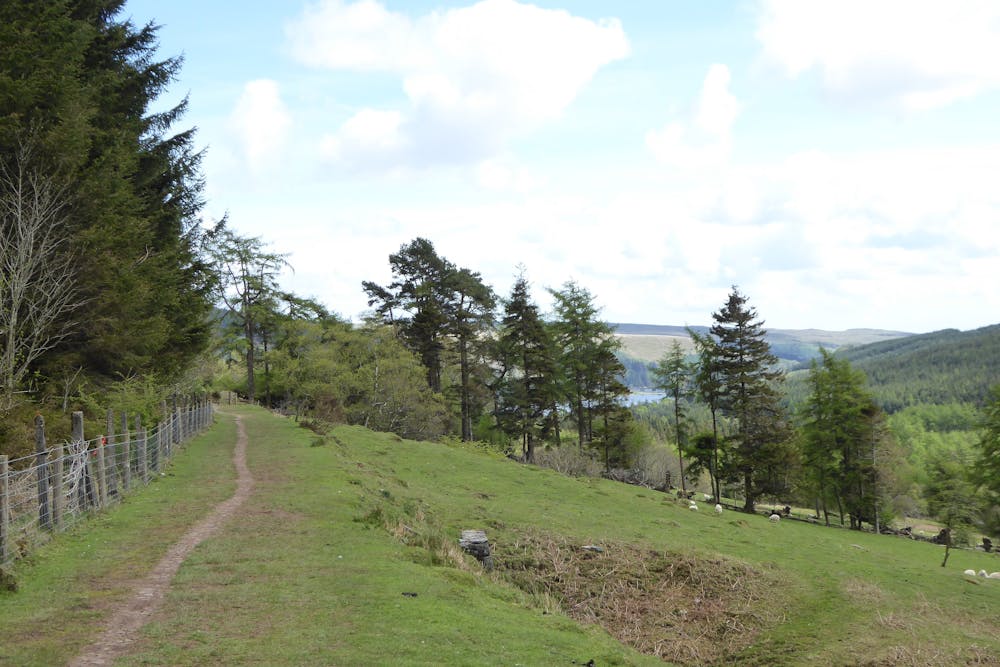 Taff Trail, along the edge of the Taf Fechan Forest