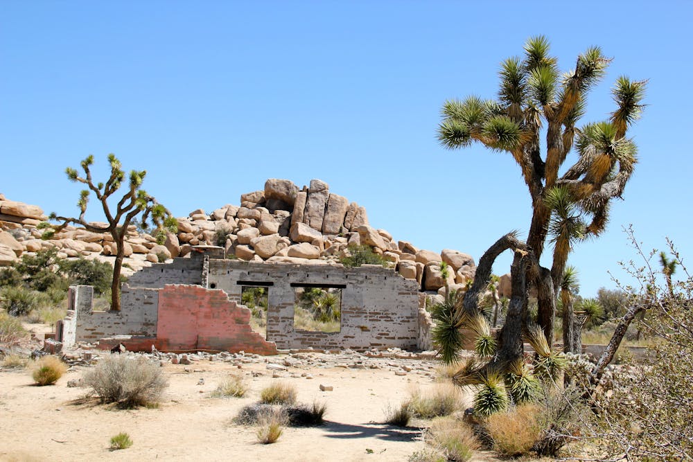 Remains of a ranch house
