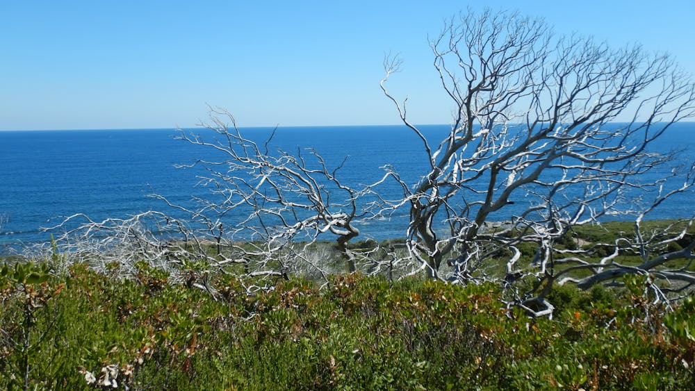Photo from Cape 2 Cape