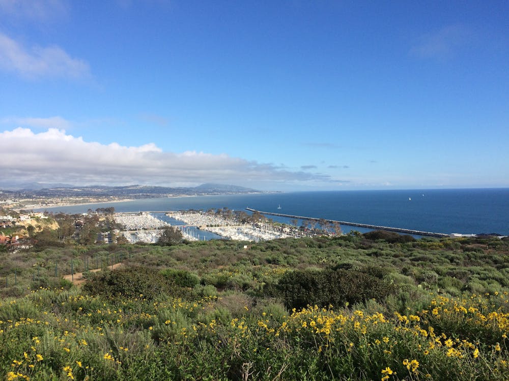 Overlooking Dana Point Harbor from the trail