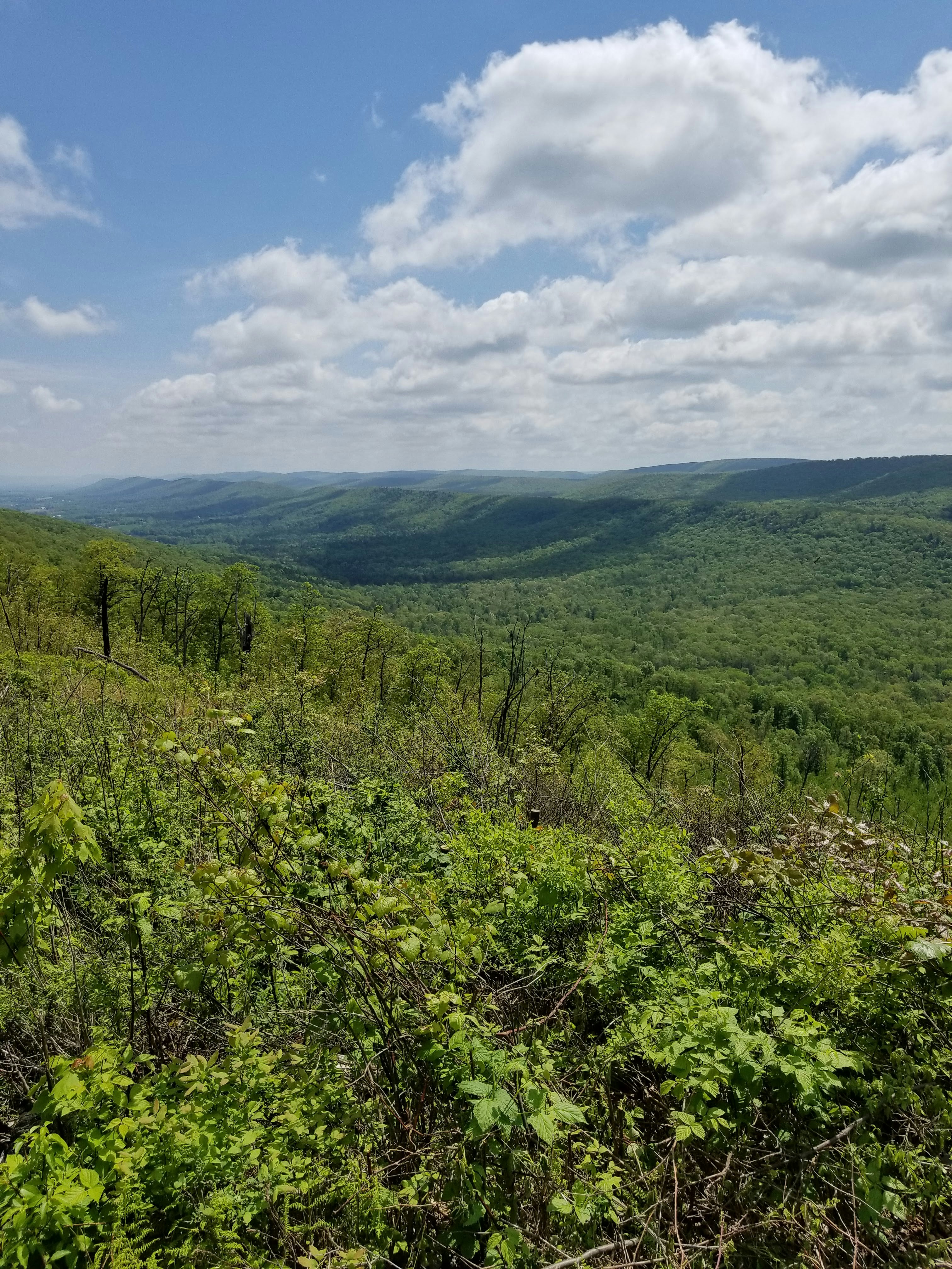 Tussey Mountain Trail  Hiking route in Pennsylvania  FATMAP