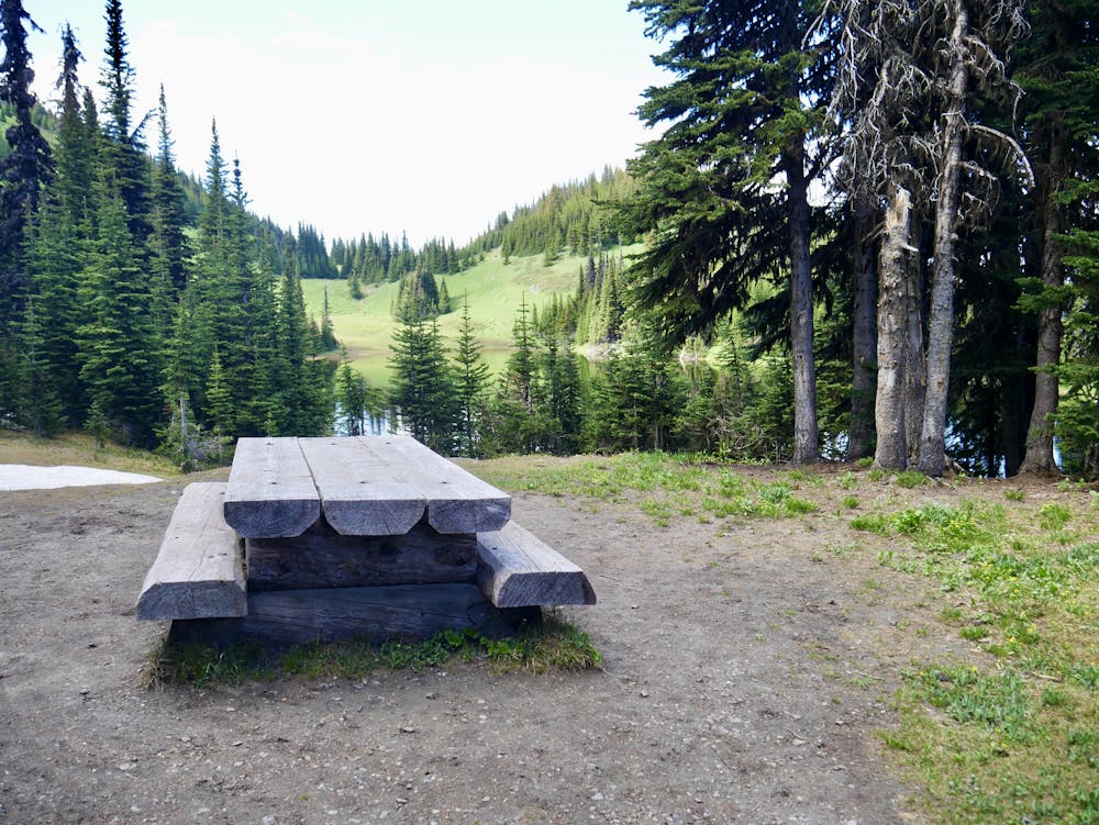 A great picnic spot at the southern end of Tod Lake