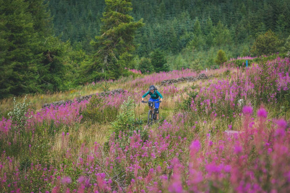 Photo from Innerleithen Red XC Loop