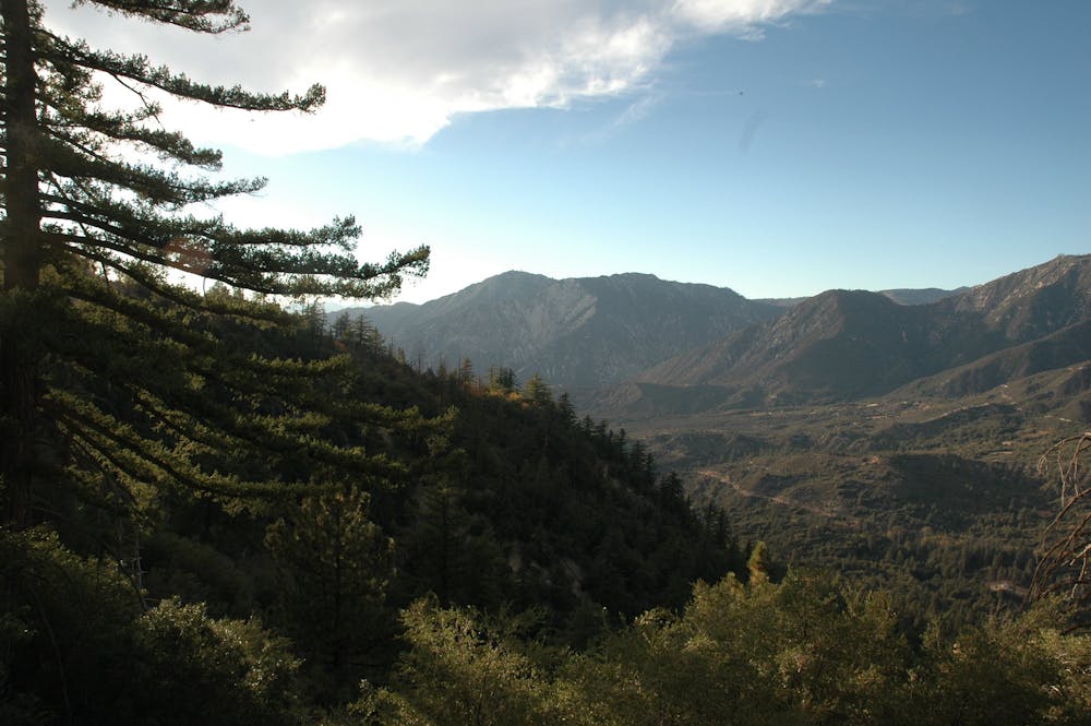 In the highlands of San Bernardino National Forest