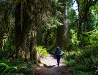 The 5 Best Backpacking Excursions in Washington
