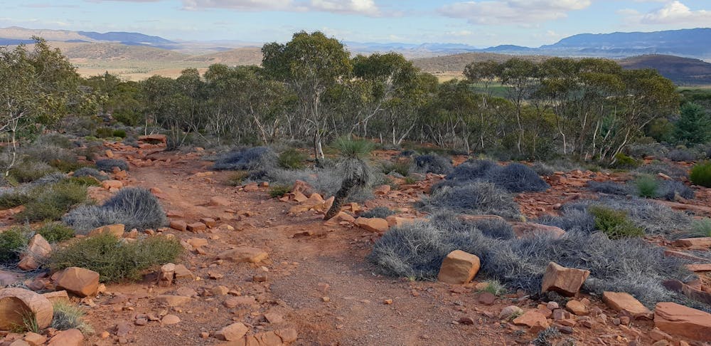 Photo from Flinders Ranges Rawnsley Bluff Trail