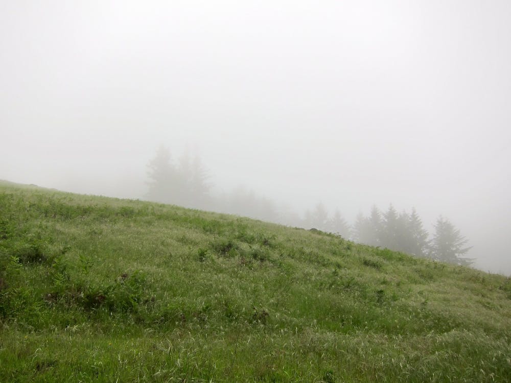Foggy field on the mountain