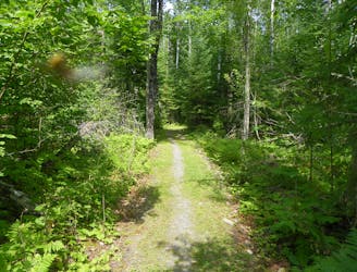 Blind Ash Bay Trail
