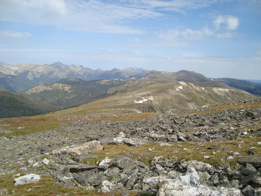 Alpine tundra