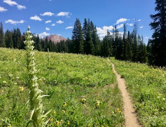 Trail 403 from Schofield Pass