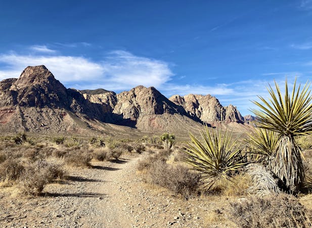 5 Easy Hikes Just Outside of Las Vegas