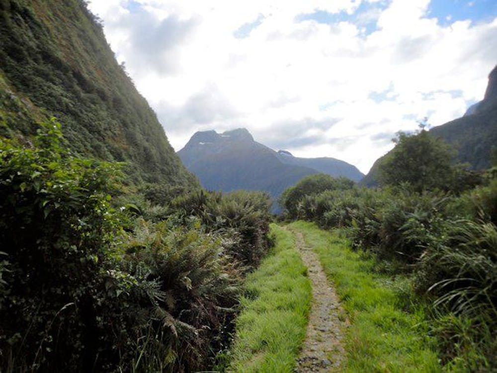 Photo from Milford Track: Clinton Hut to Mintaro Hut
